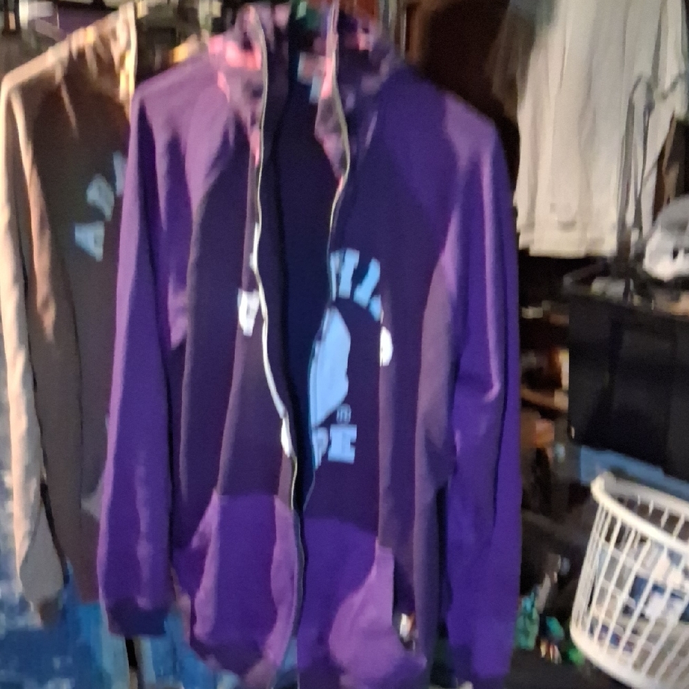 Bathing Ape Purple Hoodie